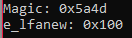 Console mostrando Magic: 0x5a4d e e_lfanew: 0x100