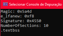 Console mostrando NumberOfSections e o nome da primeira seção