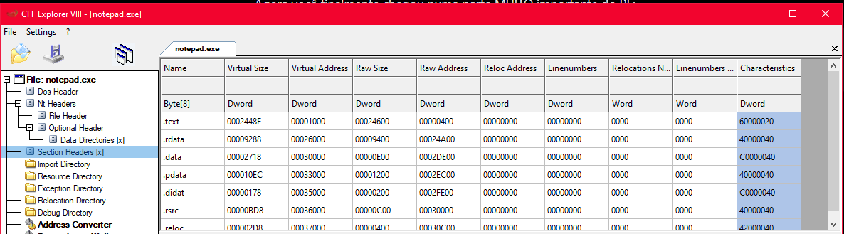 CFF Explorer mostrando a tabela de Section Headers com todas as seções do notepad: .text, .rdata, .data, .pdata, .didat, .rsrc, .reloc